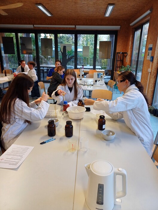 Vorschaubild Bericht „Unternehmungen des Wahlpflichtfachs Biologie 25/26“ Vorschaubild Bericht „Unternehmungen des Wahlpflichtfachs Biologie 25/26“